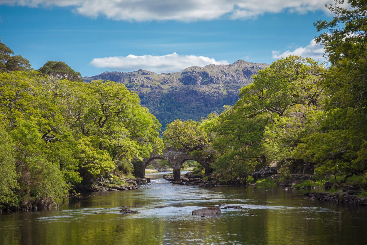 A stone arch bridge spans a calm river surrounded by lush green trees near Greenway Lane Art Studio, with rocky mountains visible in the background under a partly cloudy blue sky.